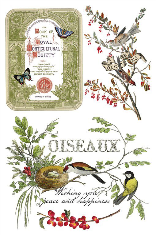 Winter Botanist IOD Transzfer oldal 3