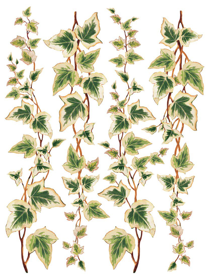 Collage de Fleurs IOD A3 transzfer sheet 3