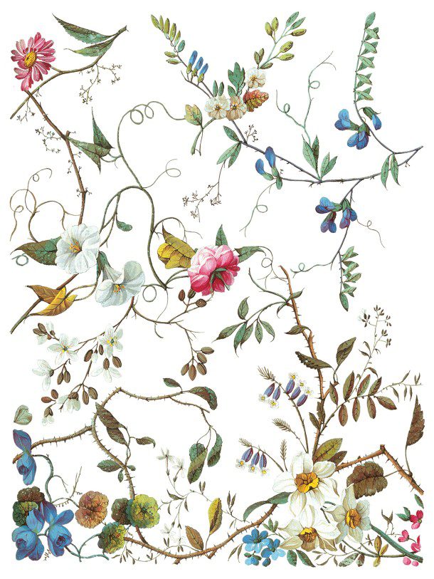 Lost Garden transzfer IOD oldal 1