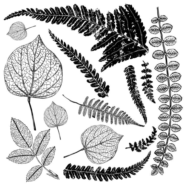 Fronds dekor pecsét
