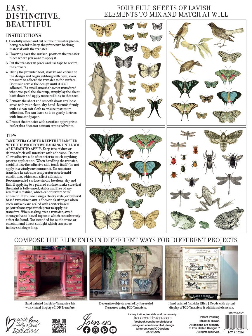 Entomology Etcetera dekor transzfer