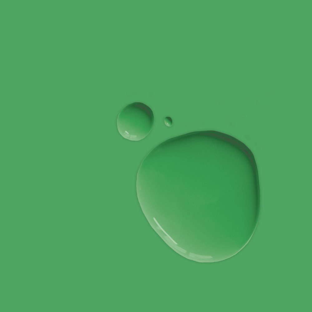 Schinkel Green Annie Sloan Falfesték