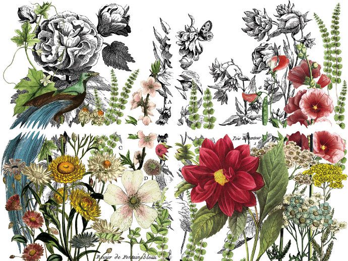 Midnight Garden dekor transzfer