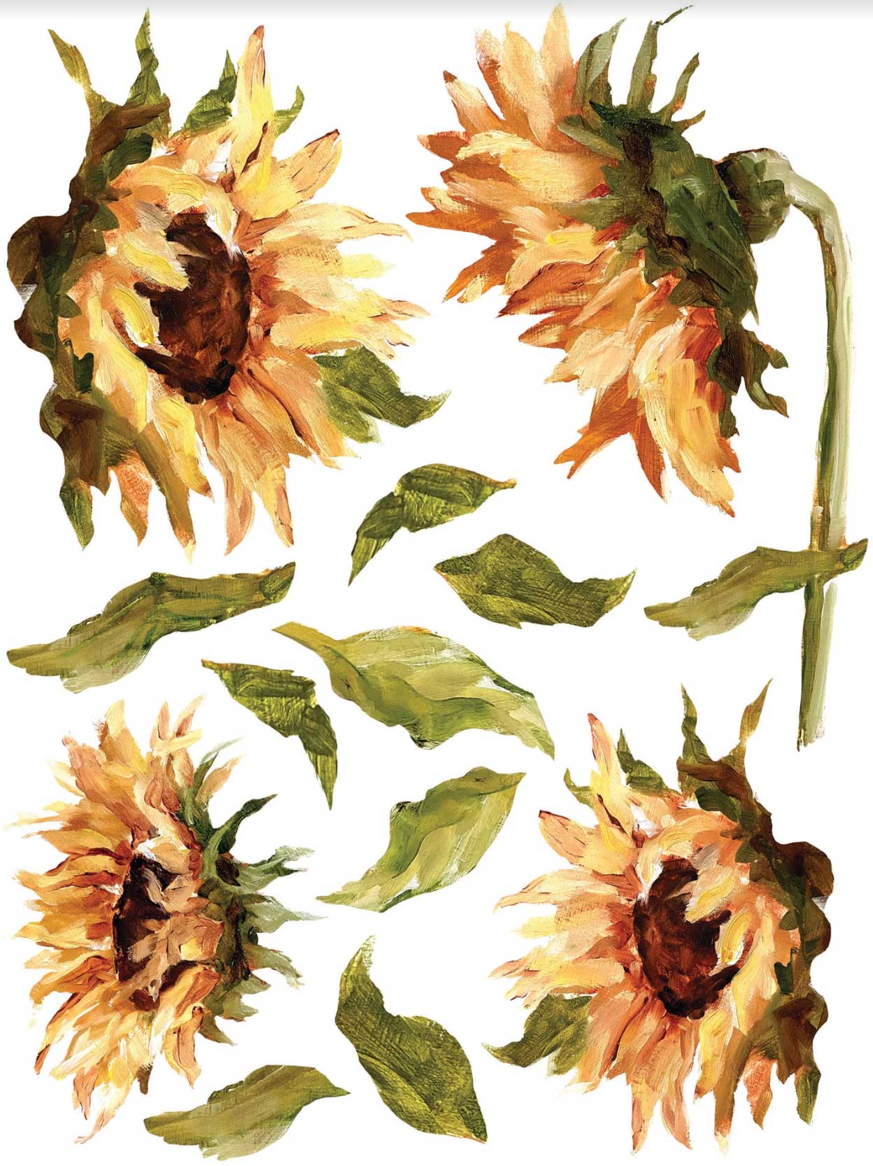 Painterly Floral dekor transzfer