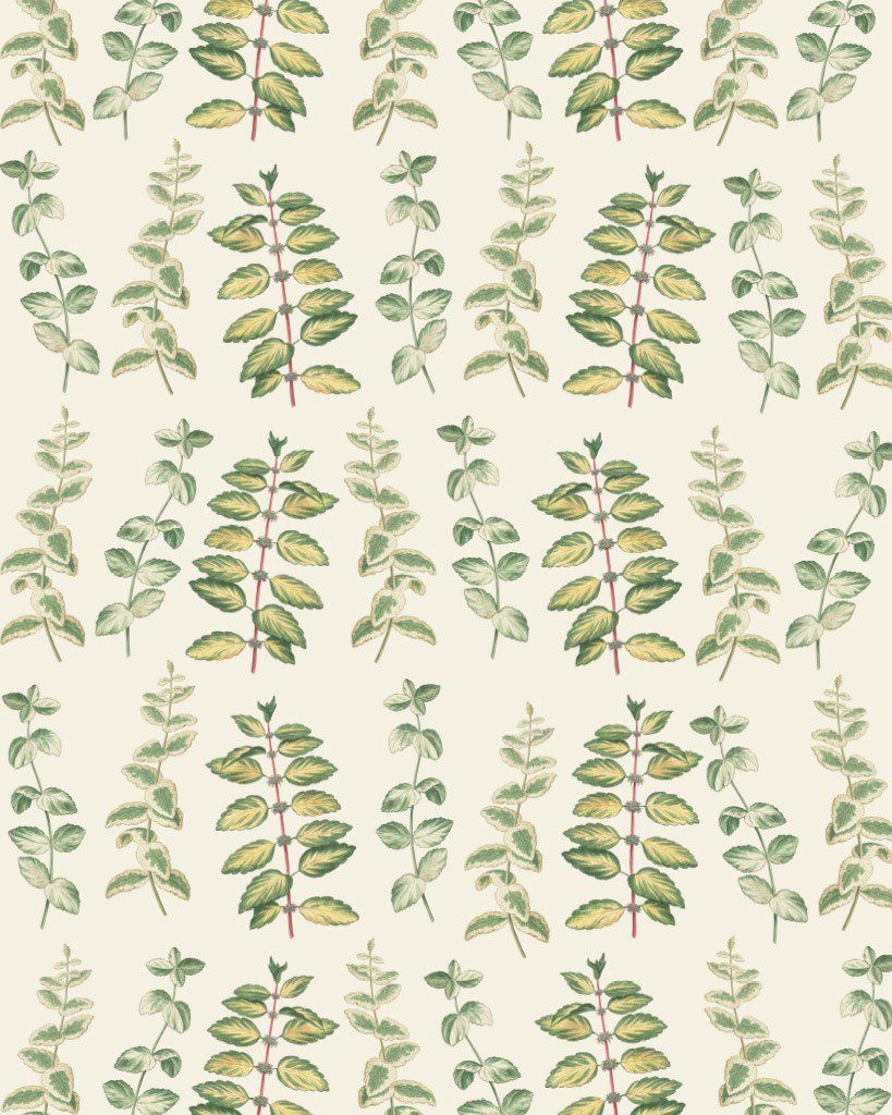 Mint Decoupage Papír Annie Sloan