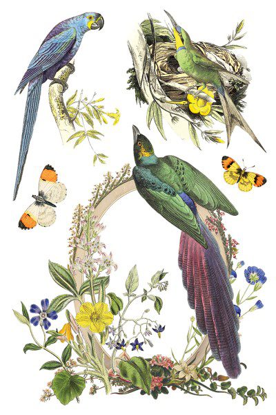 Flora Greca IOD Transzfer oldal 2