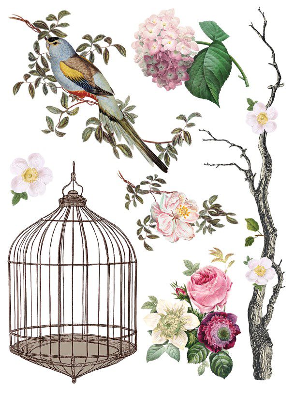 Menagerie IOD Transzfer oldal 2
