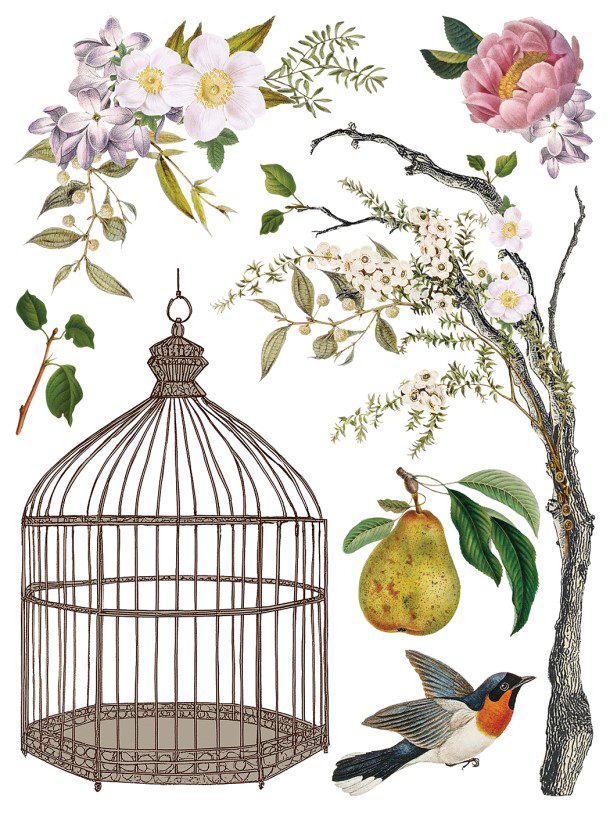 Menagerie IOD Transzfer oldal 5