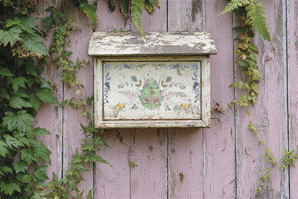 Fern Fables IOD Transzfer minta postaládán