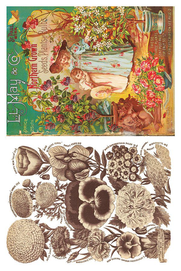 Iod transzfer seeds catalogue minta6