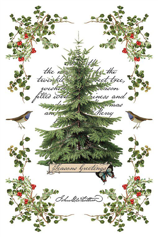 Winter Botanist IOD Transzfer oldal 7