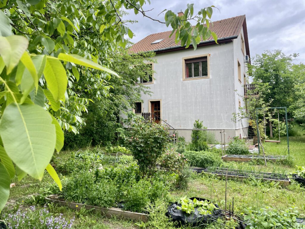 kerti uveghaz megmentese kismaros hazfeluitas csupor agnes 2