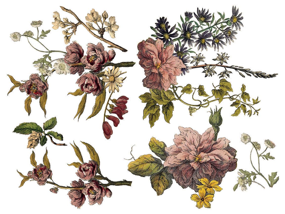 Floral Anthology dekor transzfer