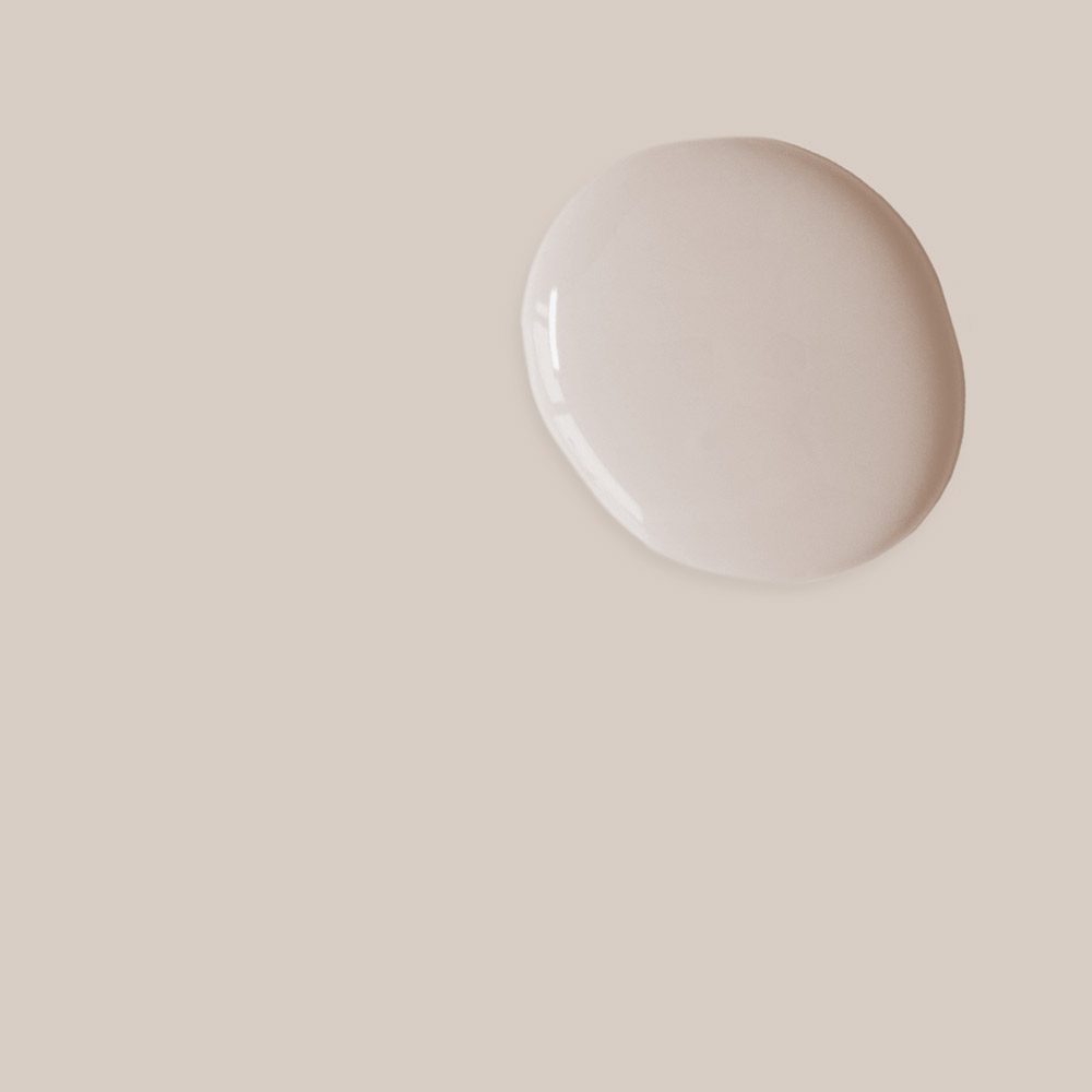 Pointe Silk Satin Paint Annie Sloan