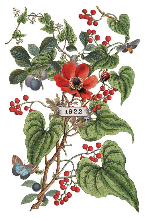 Clementine IOD Transzfer oldal 6