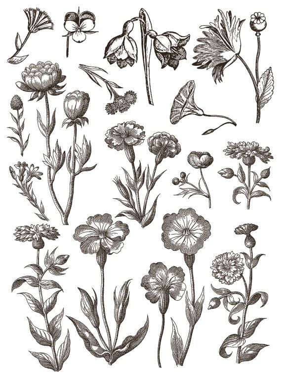Floriography IOD Paint Inlay oldal 4