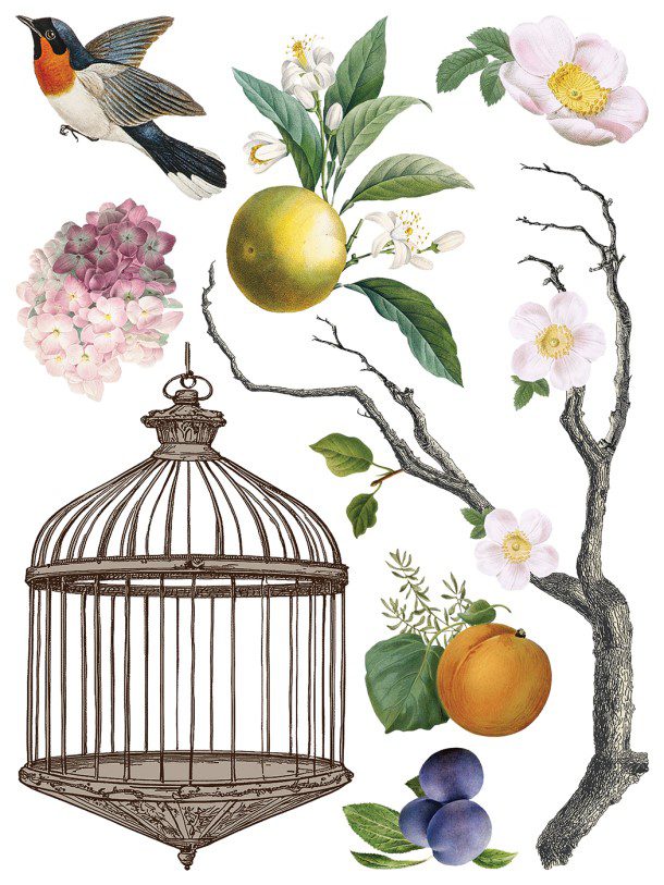 Menagerie IOD Transzfer oldal 8