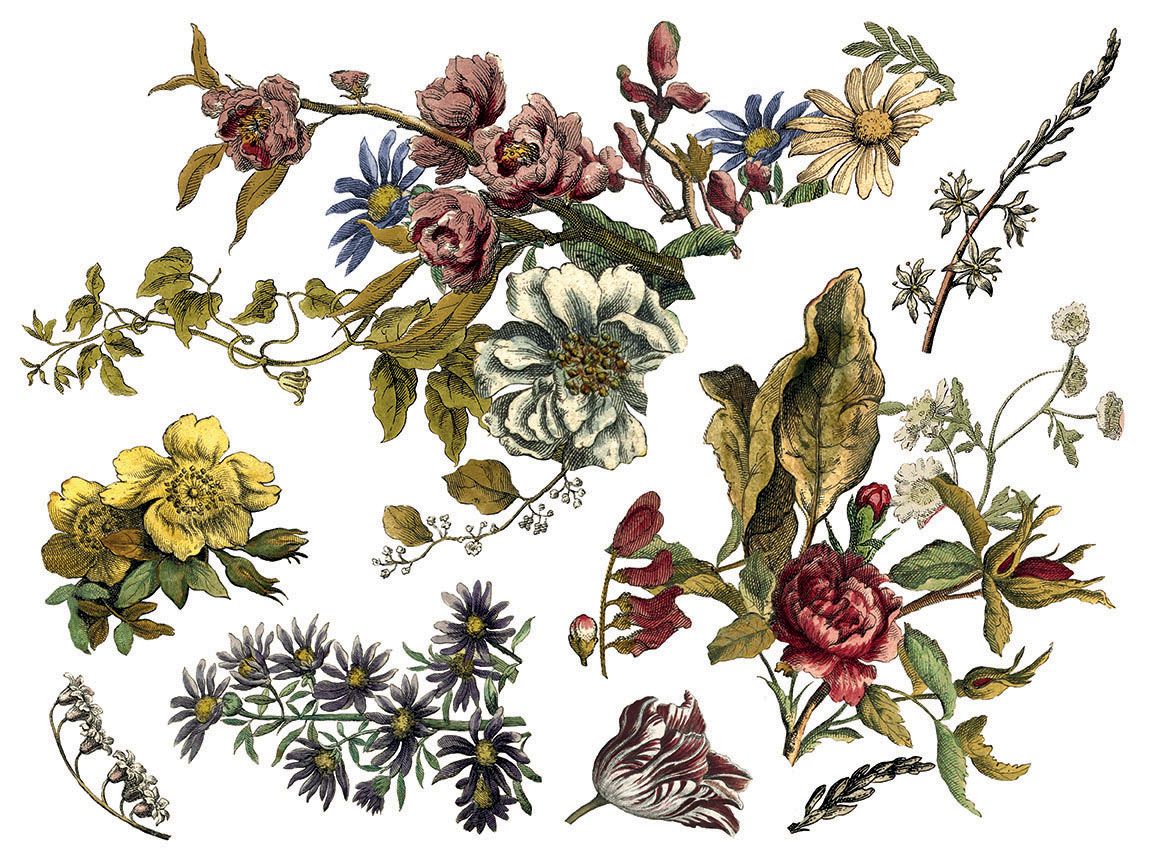 Floral Anthology dekor transzfer