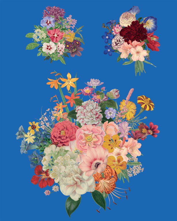 Floribunda Decoupage Papír Annie Sloan