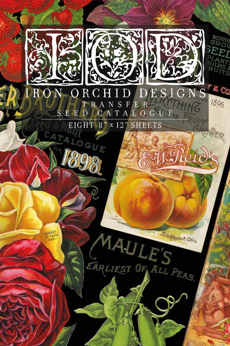 Seed Catalogue dekor transzfer