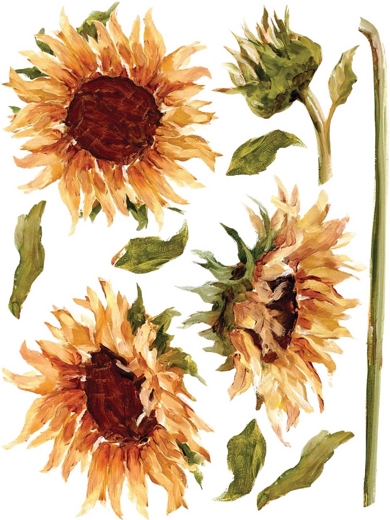 Painterly Floral dekor transzfer