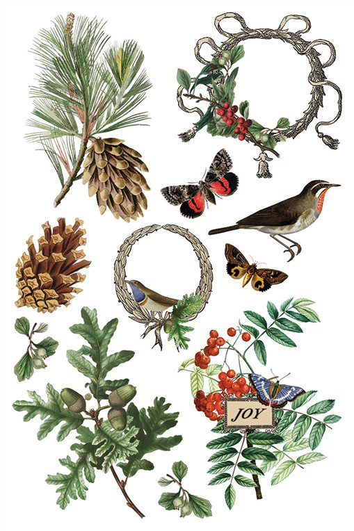 Winter Botanist IOD Transzfer oldal 1