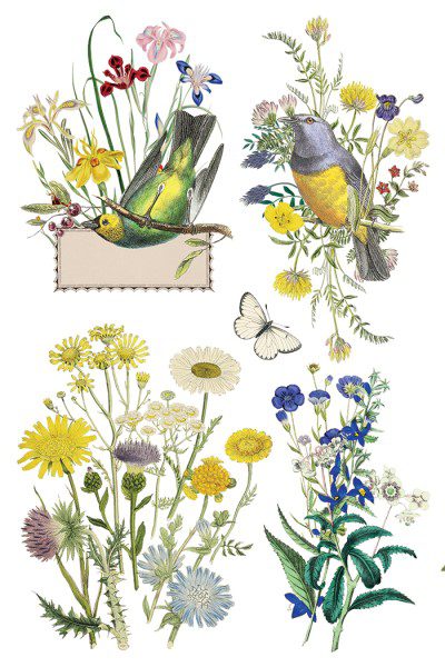 Flora Greca IOD Transzfer oldal 7