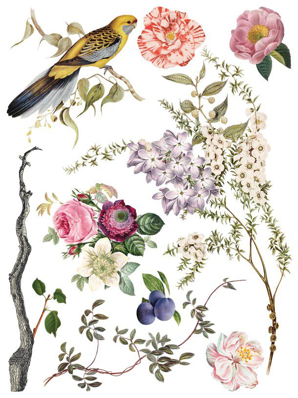 Menagerie IOD Transzfer oldal 6