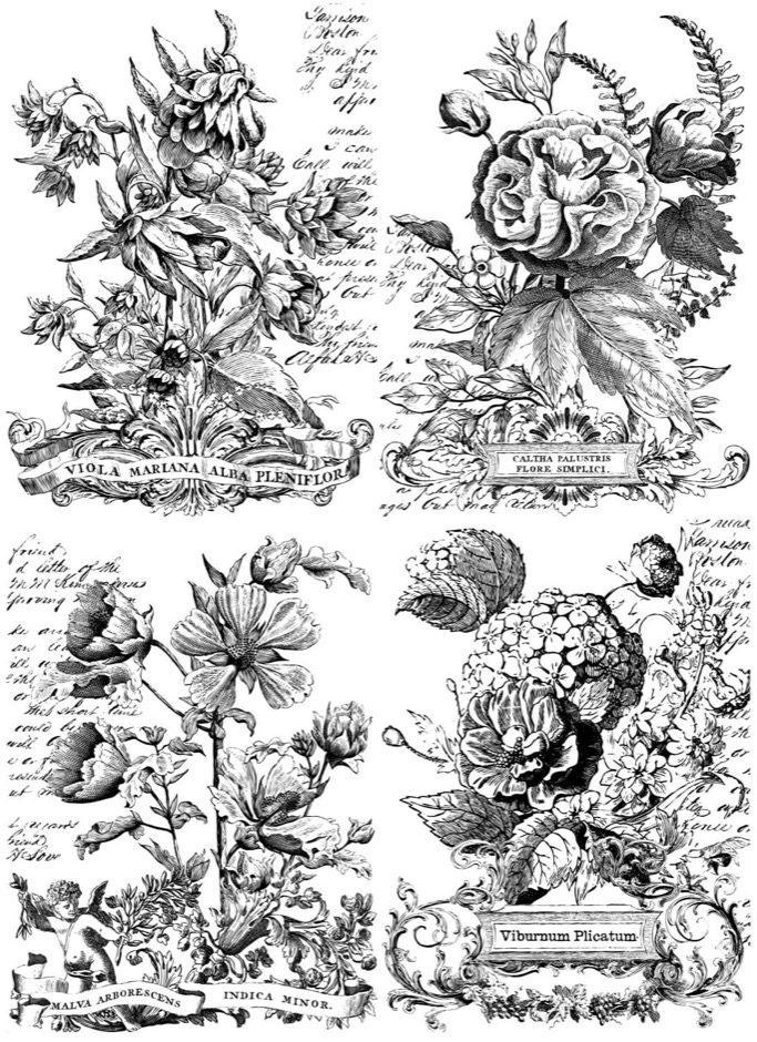 Classic bouquets transzfer