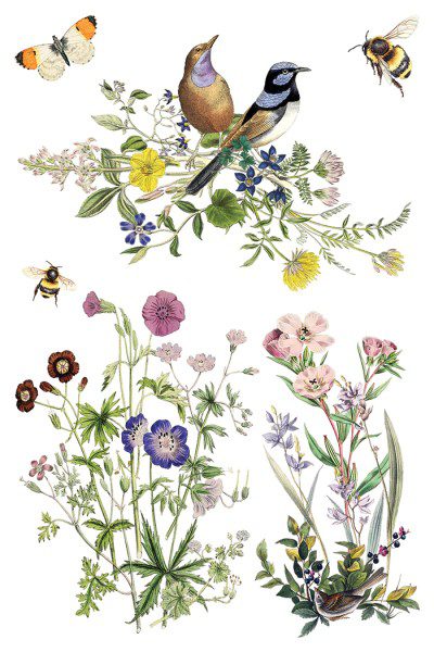 Flora Greca IOD Transzfer oldal 6