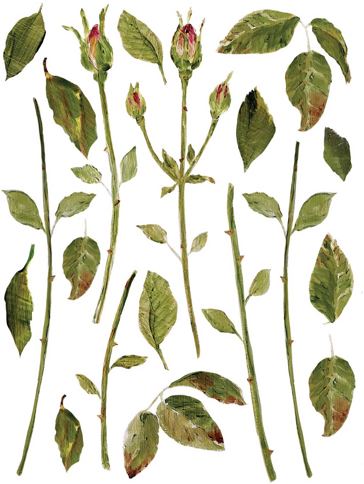 Painterly Floral dekor transzfer
