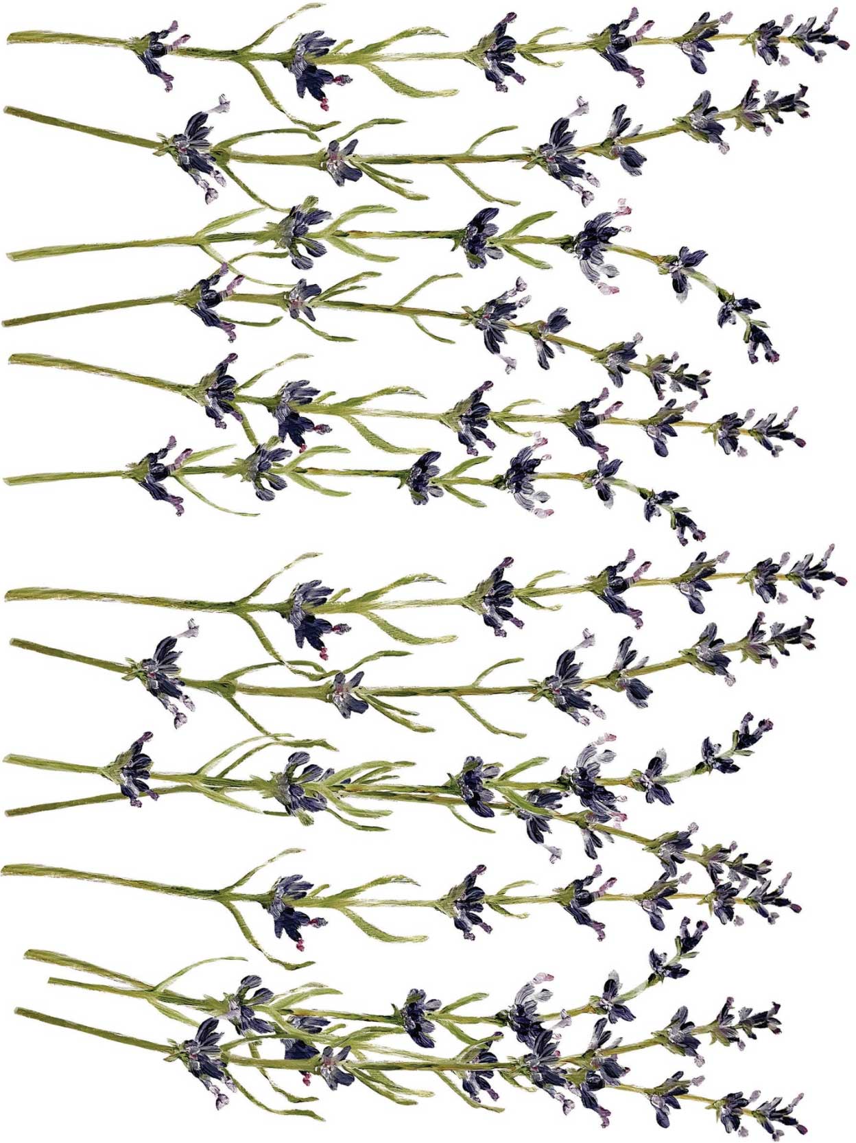 Painterly Floral dekor transzfer