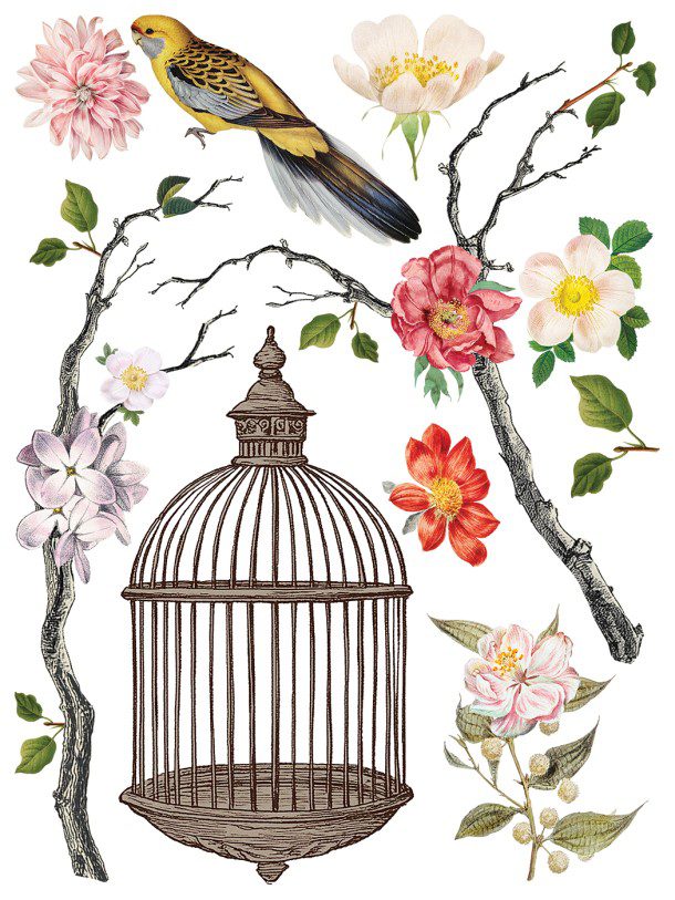Menagerie IOD Transzfer oldal 3