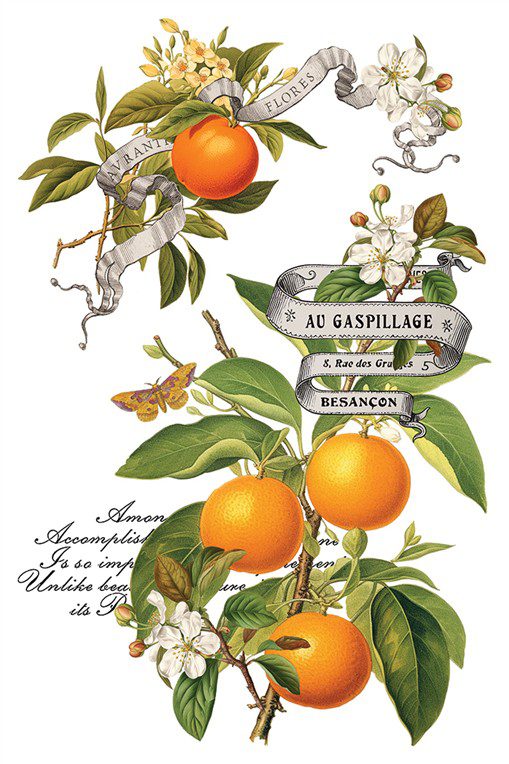 Clementine IOD Transzfer oldal 7