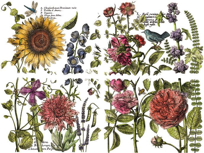 Botanist's journal dekor transzfer