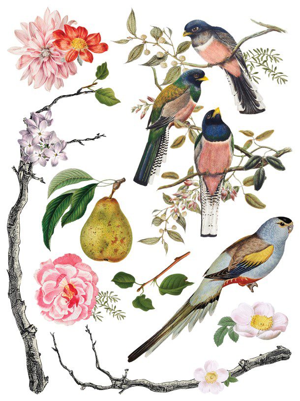 Menagerie IOD Transzfer oldal 7
