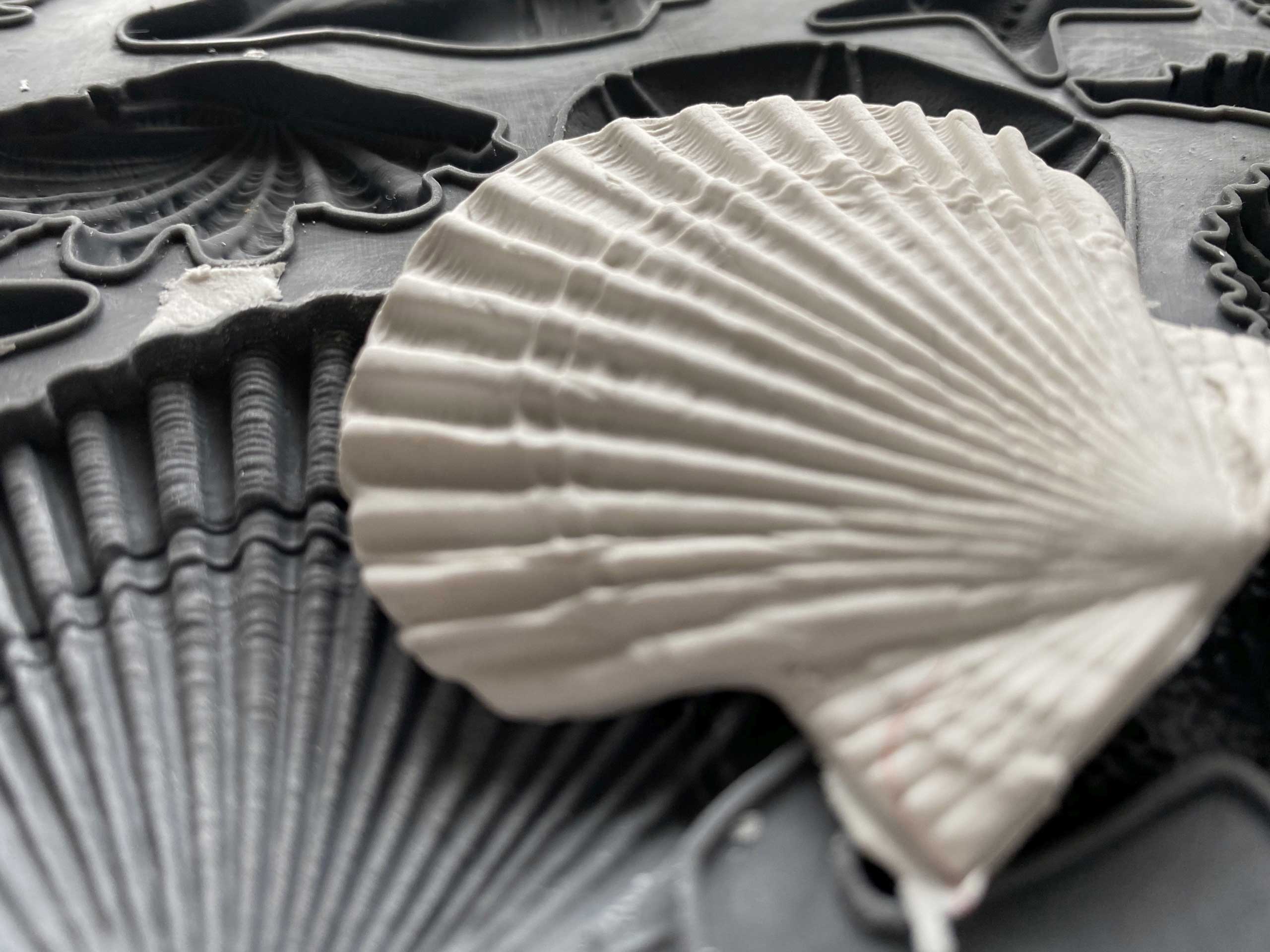 Sea Shells bútordísz öntőforma