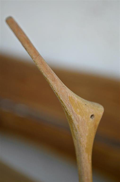kecses madarak