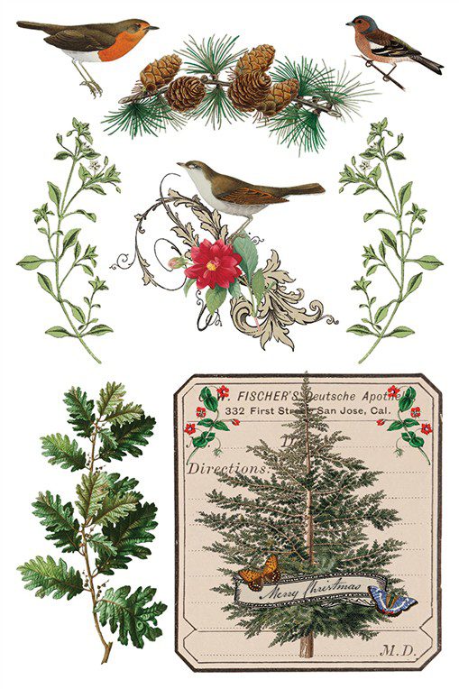 Winter Botanist IOD Transzfer oldal 8