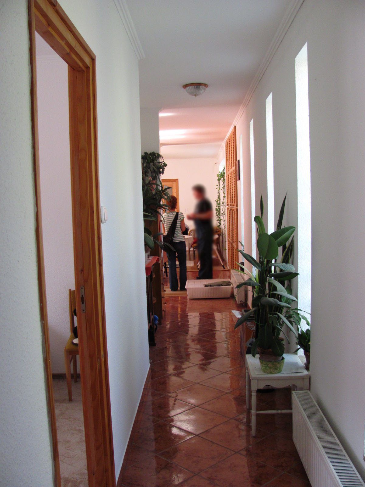 IMG_2747 copy