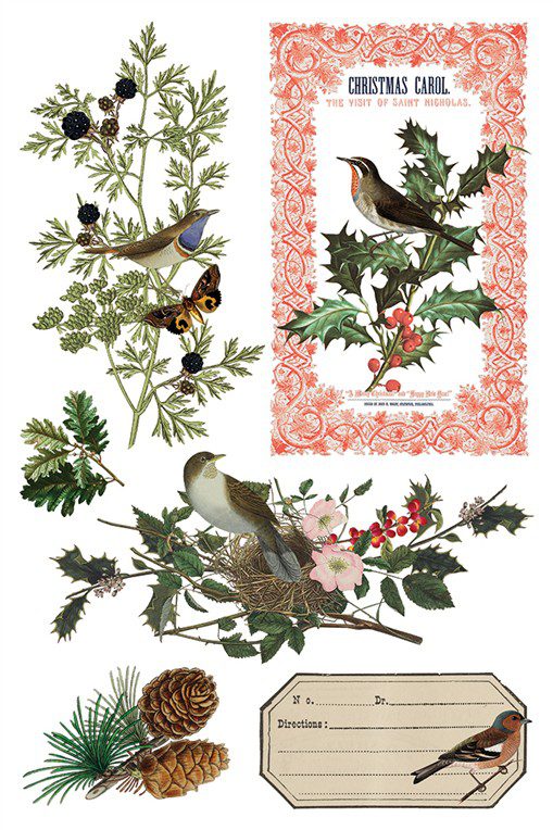 Winter Botanist IOD Transzfer oldal 6